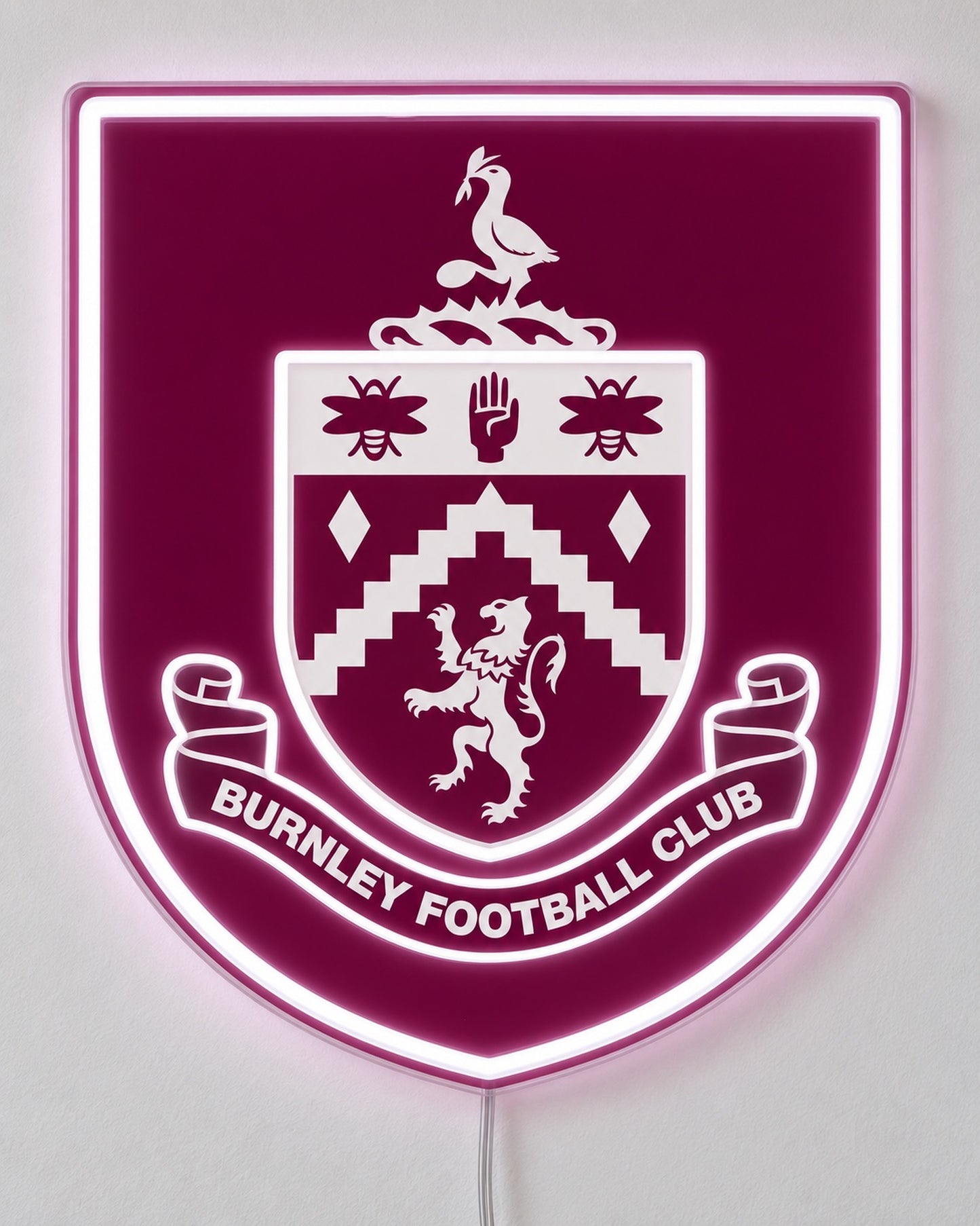 Burnley LED Neon Sign, wall mounted