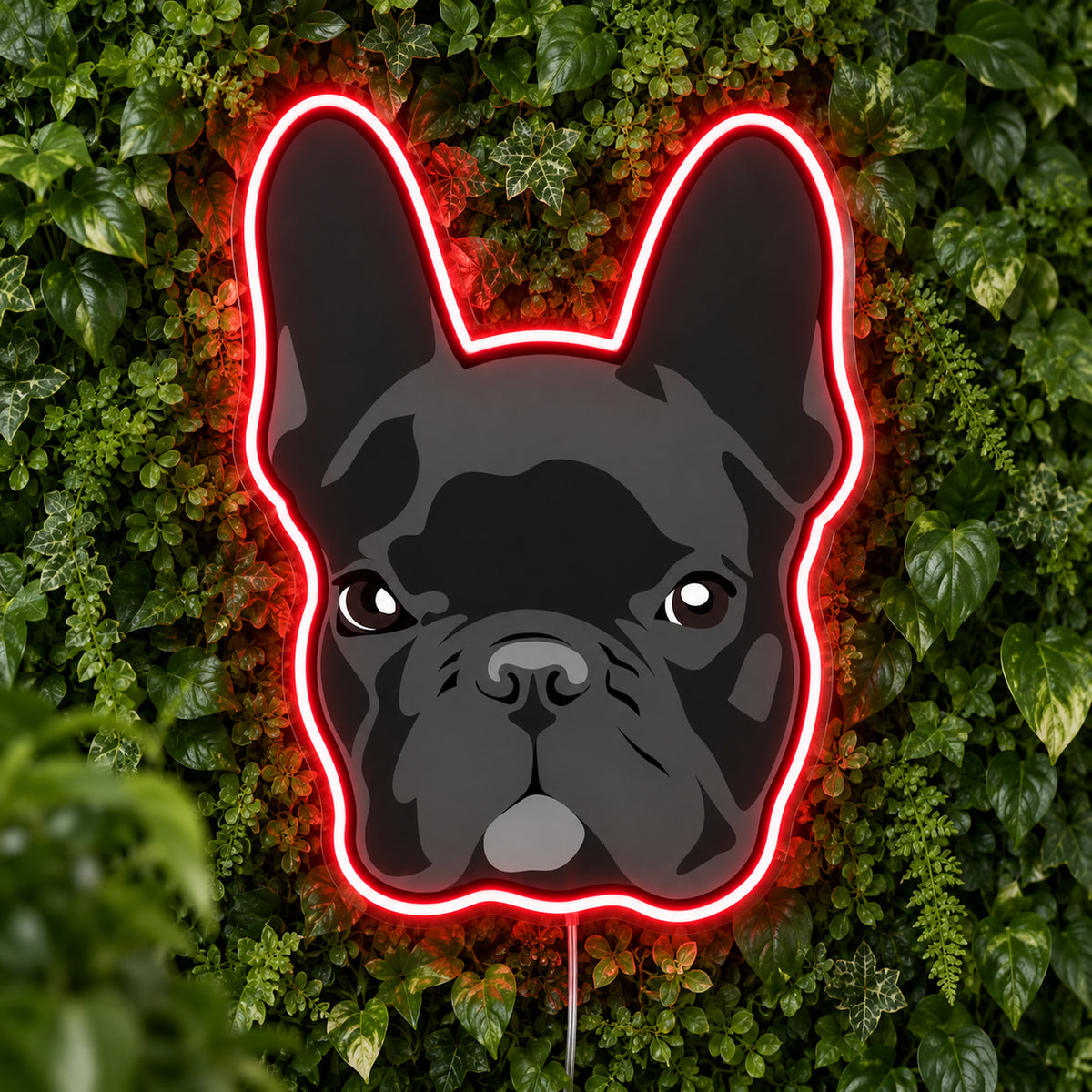 French Bulldog (Dark) LED Neon Sign product photo 1
