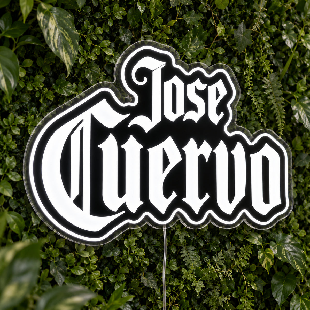 Jose Cuervo LED Neon Sign product photo 1