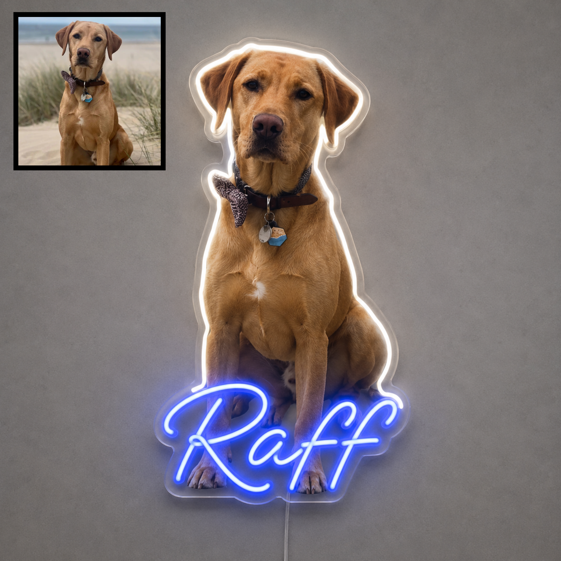 Custom dog name neon sign example featuring a Labrador design