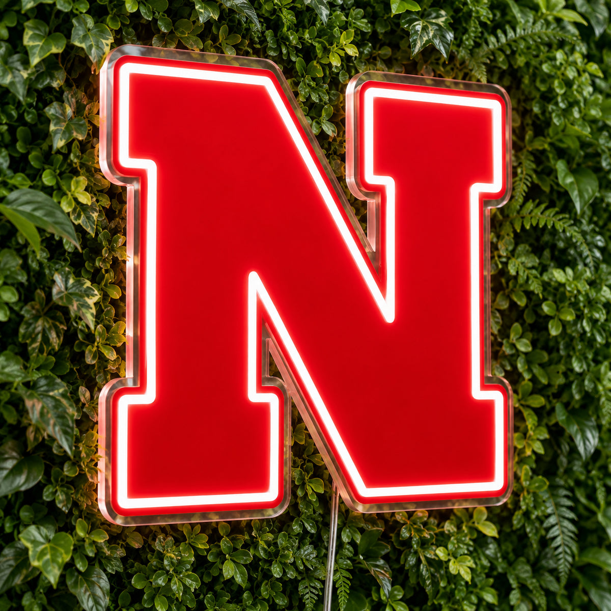 Nebraska Cornhuskers LED Neon Sign, featuring team logo displayed on a green foliage wall.