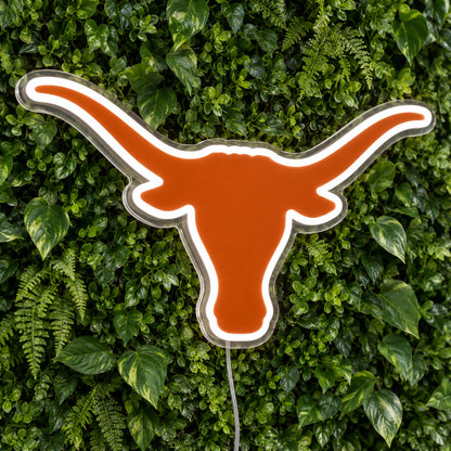 Texas Longhorns LED Neon Sign product photo 1
